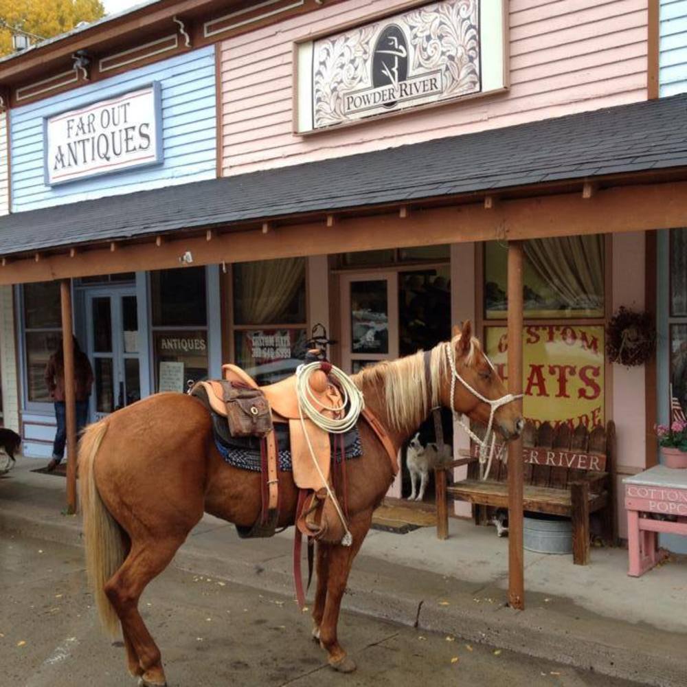 Meet your Posher, Mindy